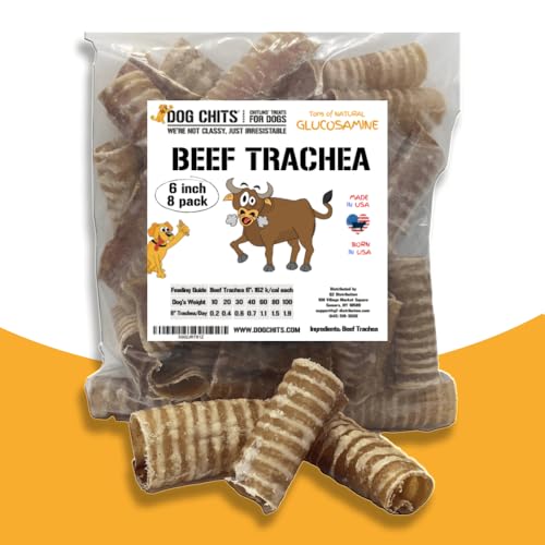 Dog Chits Beef Trachea Dog Chews - 100% Single Ingredient, High Protein, Low Fat - Glucosamine for Joint Support - Dental-Clean Crunch - Digestible Rawhide-Free, Natural Dog Chew Treats - 6inch, 8pack