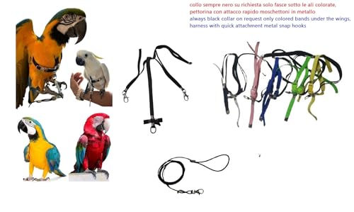 Élastique de fixation plongée CACATUA réglable pour sécuriser le matériel