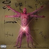  Public Figure (feat. Aoki Thavixen) [Explicit]