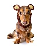 Zoo Snoods Grizzly Bear Dog Costume - Neck and Ear Warmer Headband Protector (Small)