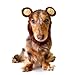 Zoo Snoods Grizzly Bear Dog Costume - Neck and Ear Warmer Headband Protector (Small)