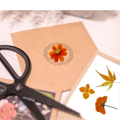 4 Pack Flores Secas Naturales para Resina y Manualidades miniatura 7