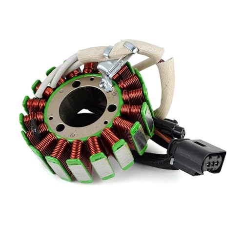 Bobine de stator BMW G310 R GS pour trajets quotidiens et voyages moto 2016-2020