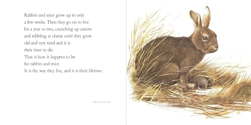 Lifetimes: The Beautiful Way to Explain Death to Children - Image 2