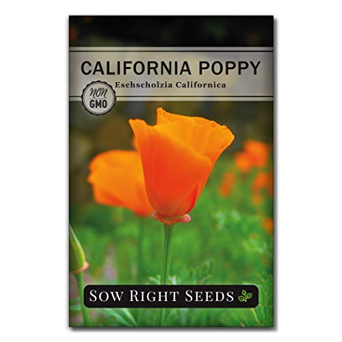 Sow Right Seeds - California Poppy Seeds for Planting - Non-GMO Heirloom Seed Packet with...