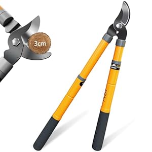 AIRAJ Tijera TelescÃ³pica 42-61cm, Tijera de Ahorro de Trabajo con Cuchillas Afiladas, Mangos Extensibles con Recubrimiento Protector, Tijera de JardinerÃ­a para Podar Ramas Secas y HÃºmedas