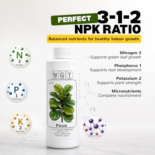 Fertilizante líquido 3-1-2 para Fiddle Leaf Fig 8 oz miniatura 3