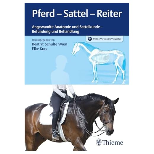Sattel für Pferd und Reiter