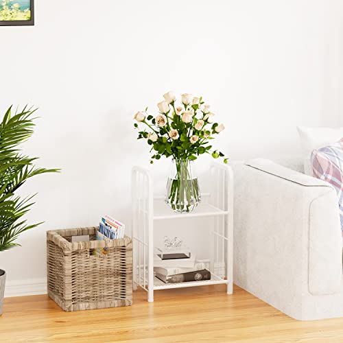 Azheruol Bookshelf Storage Shelf Bookcase Freestanding Storage Stand For Living Room, Bedroom, Kitchen, Rust Resistance Easy Assembly Free Combination Multi-Functional Organizer (2 Tiers, White) #TOP1