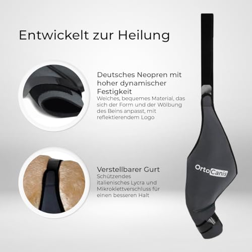 Ortocanis - Kniebandage Hund Hinterbein für das rechte Bein - Hergestellt aus Neopren ARD - Bei Kreuzbandriss, Bänderverletzungen, Patellaluxation oder Osteoarthritis - Größe X-Large (14,2-16')