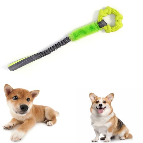 Lyyxjsltd 犬 おもちゃ 噛む ロープ 頑丈 子犬 引っ張りっこ遊び 知育玩具 小型犬 中型犬 噛むおもちゃ 噛んでも壊れない 安全 ゴム ストレス解消 運動不足解消 リング しつけ用甘噛み パピー犬 プレゼント (グリーン)