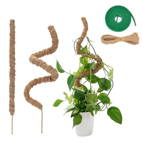 2PCS Moss Pole,monstera Support,moss Pole for Monstera,for Climbing Plants Handmade Slim Plant Stakes,It Is Suitable for Various Climbing Plants and Climbing Plants.