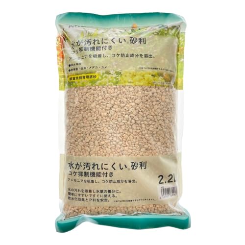 JCY(CAINZ)  e2.2L ybc  ɂ RP }@\ Wp  AjA  z  PH |