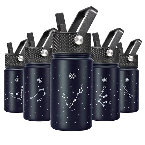 Image of BJPKPK Insulated Water Bottle, 15oz Stainless Steel with Straw Lid