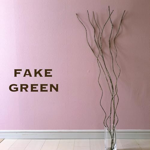 tFCNO[ }   _   CeA t }