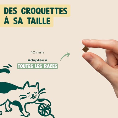 Croquettes Urinaires pour Chat Stérilisé – Bien– Être – avec 70% de Canard – sans céréales – Mono-protéine – Taille 10mm – 3 kg – Image 6