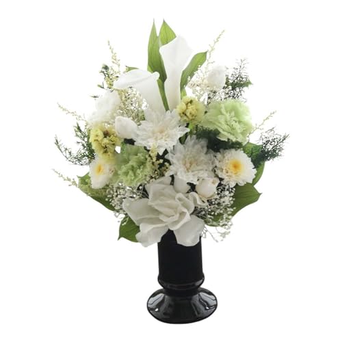 vU[uht[  AWg EifUC  Ԋt aEmΉ  ݁E@E~Eފ (-悩-)