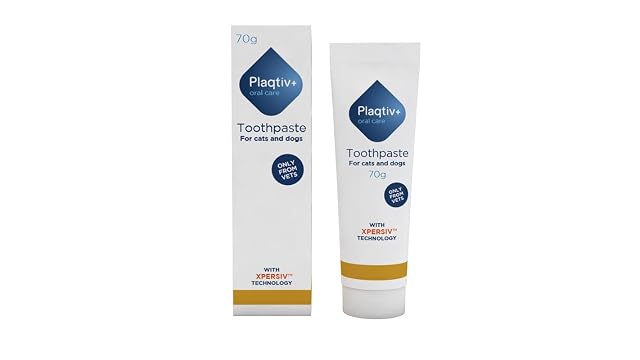 Ecuphar AC Plaqtiv + dentifrico 70gr