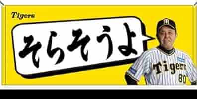阪神タイガース - 岡田監督 そらそうよ タオル 2枚 セット 阪神 タイガース ARE 優勝 Amazon.co.jp: そらそうよ タオル 岡田監督 阪神優勝 黄色 岡田