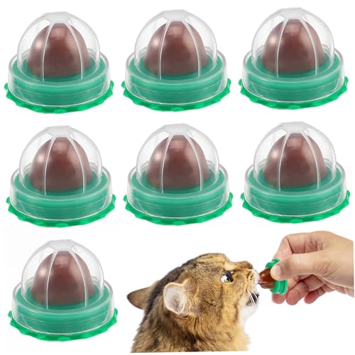 SUPVOX 10Piezas Hierba para Gatos de para Mascotas Snacks con Aleatorio para Diversión