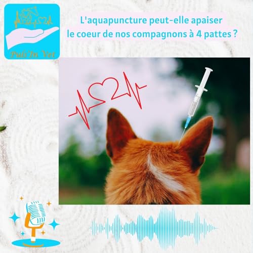 L'aquapuncture peut-elle apaiser le coeur de nos compagnons à 4 pattes ?