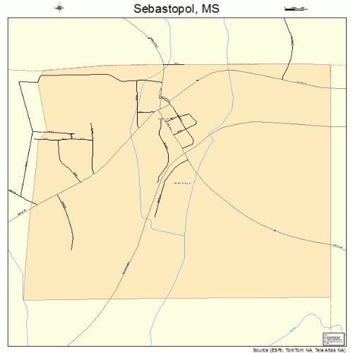 Large Street & Road Map of Sebastopol, Mississippi MS Printed poster