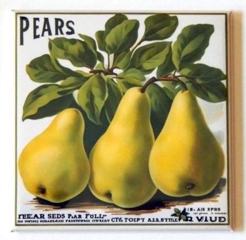 Pears Fridge Magnet (Style L) (3 x 3 inches) image 4