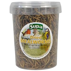 Supa Dried Mealworms for Wild Birds, 1 Litre Bucket | High Energy Protein Rich Treat For Garden Birds | Attract More…