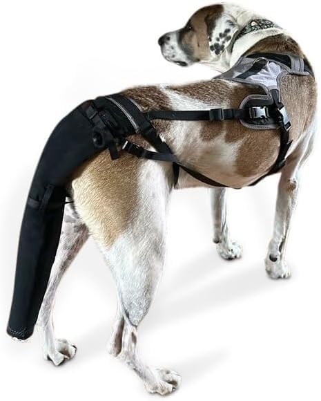 Image of Tail Guard & Harness Set - Veterinary Dog Tail Protector & Injury Wrap, Size Large