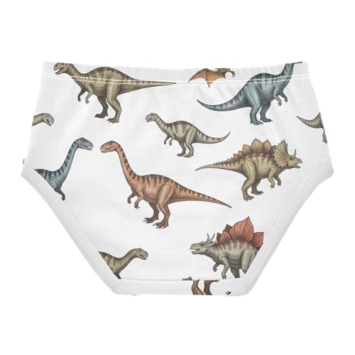 Toddlers Underwear Floral 2t Cotton Cute Panties Girl Animals Briefs Kids Undies Vintage Brown Blue Dinosaurs White2
