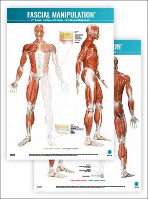 FASCIAL Manipulation 2nd Level Poster: Centers of Fusion