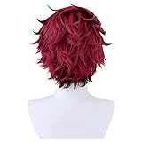circlechocolate コスプレウィッグ 鬼滅の刃 竈門炭治郎 コスプレ 耐熱 ウィッグ 鬘 ショートウィッグ かつら wig ネット付き コスプレ パーティー イベント (炭治郎)