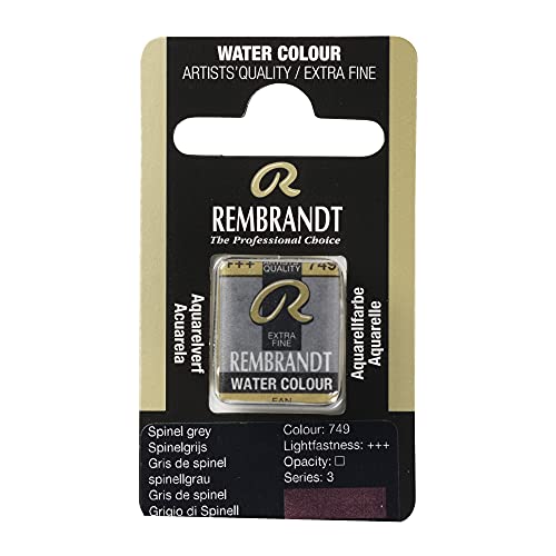 Rembrandt Watercolour Pan Spinel grey 749 (05867491)