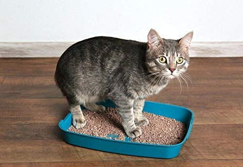 pet pattern cat litter