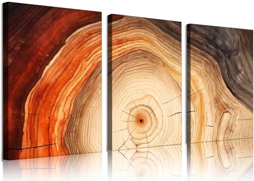 Art mural sur toile encadrée anneau d'arbre : décoration moderne en forme de souche de bois pour salon