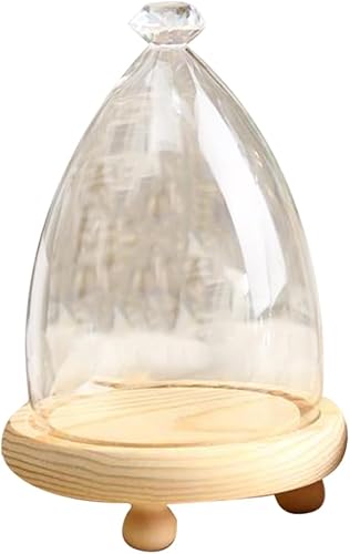 Botella decorativa Kiwarm Fashion Glass Display Cloche Bell Jar Dome Flower Immortal Preservation Jarrón Base de madera Decoración del hogar