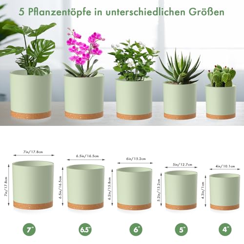 Homeuouz-5-Packs-Blumentopf-mit-Untersetzer-17815214127102cm-Pflanzentopf-Plastik-Ubertopf-Hydrokultur-Topf-Blumentopfe-Set-Ideal-fur-Innen-und-Balkongarten-Grun-mit-braunes-Tablett | Dealmeister.io Alt tag für bilder post titel