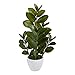 22in. Zamioculcas Artificial Plant in White Planter