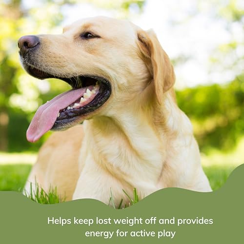 Weight Control Dog Food Bundle includes Metabolic Dry 1.5kg, Low Fat Treats Pack of 2 x 100g, Nose and Paw Balm - Image 3