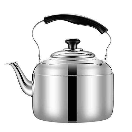 Bouilloire sifflante en acier inoxydable pour induction et camping motif pieuvre