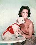 natalie wood photo galerie 25,4 x 20,3 cm / 254 x 203 mm worldphotographs Natalie Wood 10x8 Photo