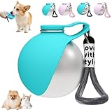 Botella para perros para viajes, 285 ml, de acero inoxidable, botella de agua con cuenco, para perros, portátil, de viaje, a prueba de fugas, botella compacta para perros para viajes (D)