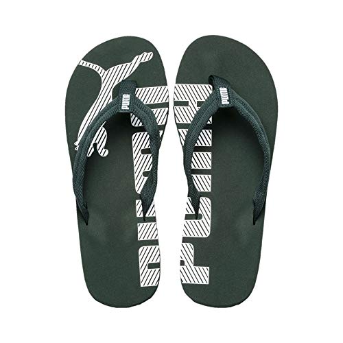 Image of PUMA Epic Flip V2 Synthetic Slipon Womens Athleisure Flip Flops