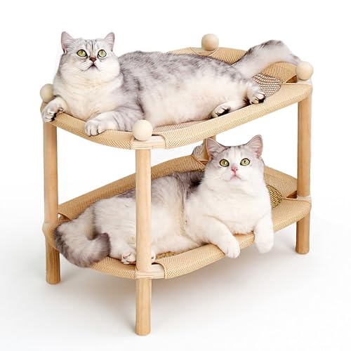 Griffoir pour Chat 2 Étages pour Protéger vos Canapés du Griffage