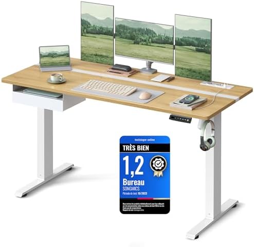 VASAGLE Bureau Électrique Réglable en Hauteur, Bureau Assis-debou...