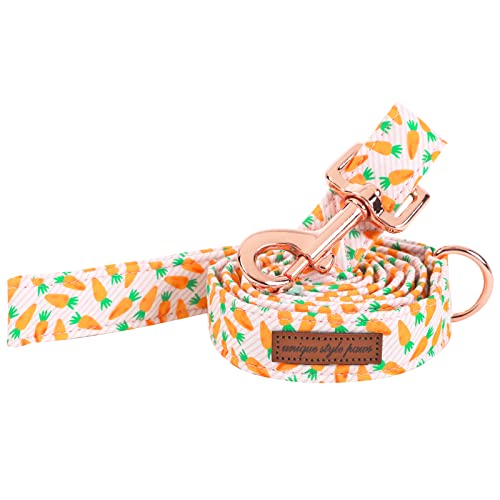 Unique style paws Durable Dog Leash Easter Day Carrot Traction Rope Soft and Comfy Handle for Dogs and Cats-M