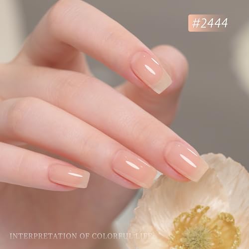 Image of GAOY Jelly Nude Gel Nail Polish Set, 6 Transparent Colors Sheer Light Pink Brown Soak Off UV Light Cure Gel Polish Kit for Salon and Nail Art DIY at Home