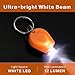 RaySoar 10 Pack Ultra Bright Mini LED Keychain Flashlight, Small Key Ring Flashlight, Portable LED Keychain Light for Outdoor Activities Emergency Light - Orange Shell
