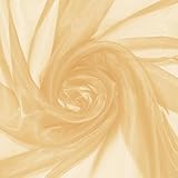 P Pothuiny Sheer Organza Fabric by The Yard, 1 Yard x 60 Inch Wide Bridal Champagne Organza Tulle Fabric Roll Shiny Gauze Fashion Dress Sewing Craft for Wedding Party Decorations Backdrop