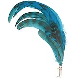 Breiter echte geschwungene Hahnenfedern Hutfeder Kombination gefärbte und Naturbelassene Federn ca. 27 cm Türkis
